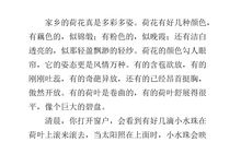 食品安全作文500字