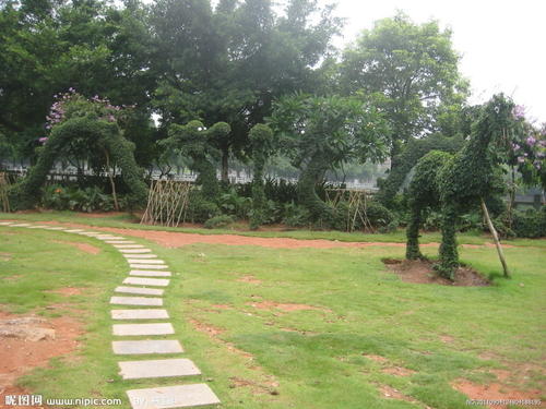 公园的一个角落150个字