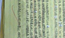 公园景色作文600字