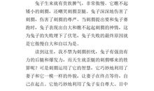 一篇童话读后感