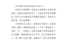 冬天的雪作文100字