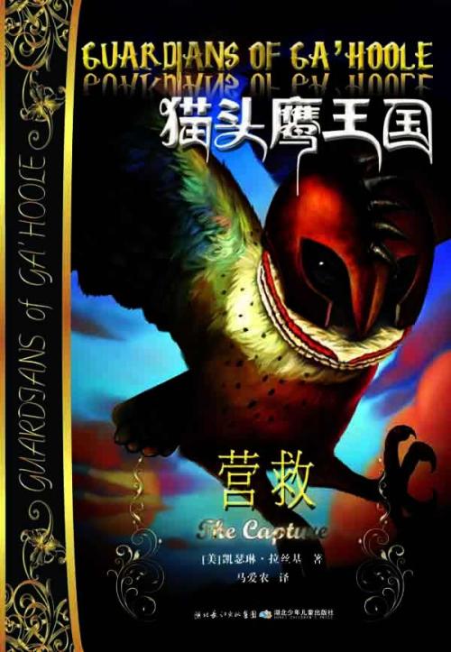 看完《猫头鹰王国》之后