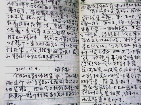 水城威尼斯组成200字