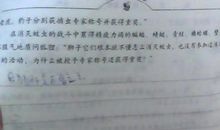 假期趣事作文300字