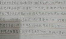 夏天的校园作文