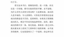 狼王梦第六章读后感