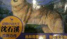 狼国女王读后感400字