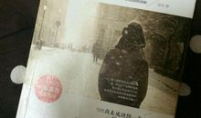 《你的努力，终将成就无可代替的自己》读后感