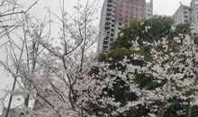 保留一份好心情