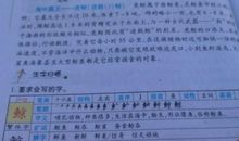 鲸的自述作文800字