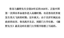 藤野先生读后感800字