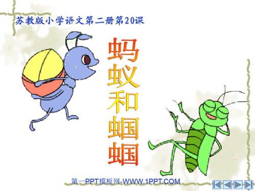 阅读后的蚂蚁和蚱grass