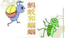 蚂蚁和蝈蝈读后感