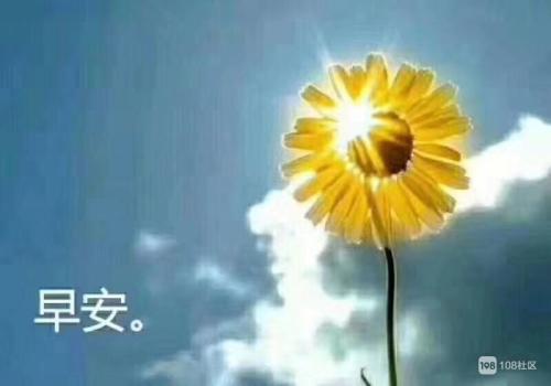 美好的一天日记