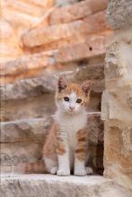 心语：别担心，我在这里