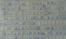 可爱的小白兔作文