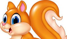 可爱的小松鼠作文