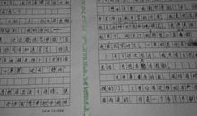 我的建议作文300字