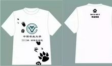 给还没毕业的同学的衷心告诫