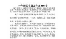 我的伙伴作文500字