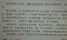 一张照片的故事作文