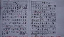 中学生感动的作文