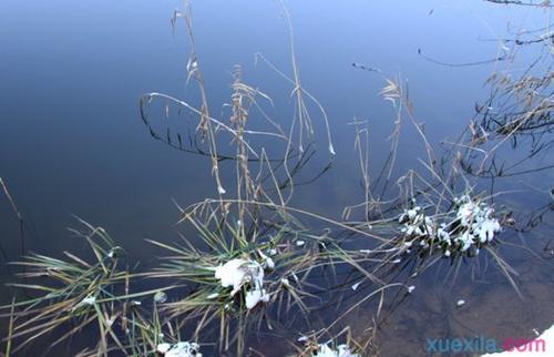 等待春天的组成