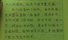 第一次包饺子的作文