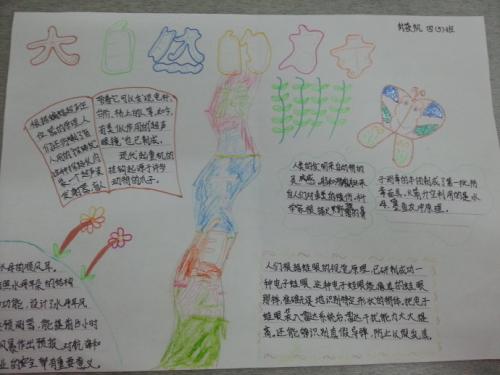 大自然的启蒙日记