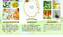 二年级作文蚕宝宝