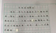 感动的瞬间作文600字