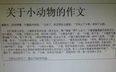 可爱的动物组成