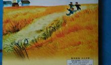 细米读后感500字