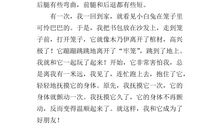 可爱的兔子作文300字