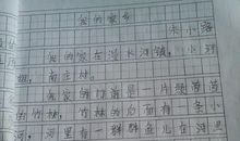 我眼中的学校作文