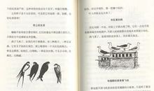 藤野先生读后感500字