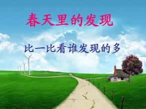春天的发现