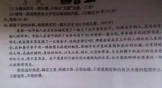 动物保护小学生组成