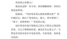 感动的作文800字