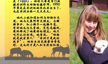 最美的作家读后感