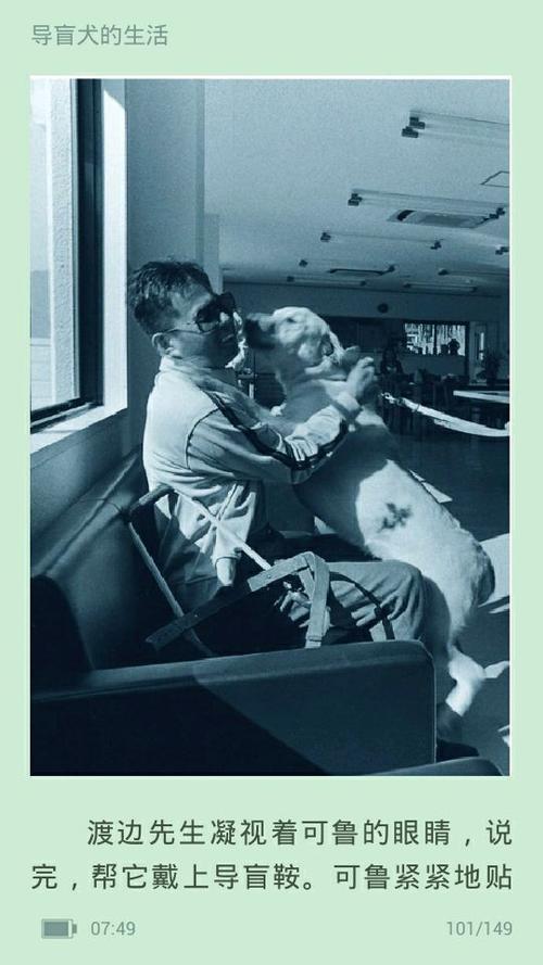 看完《再见柯露》