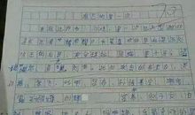 我身边的好老师作文