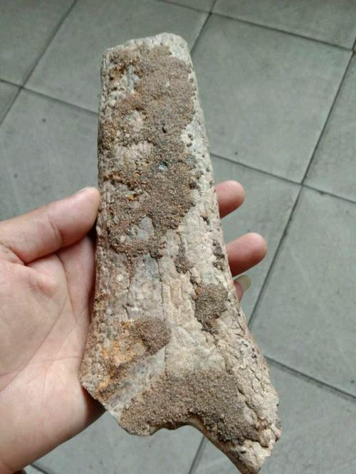 奇怪的石头组成