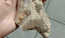 奇怪的石头作文