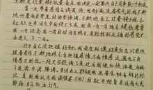 我这个人作文600字