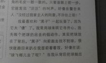 我最喜欢的小狗作文