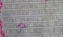 夸夸我的同学作文350字
