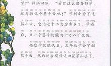 变色龙读后感100字