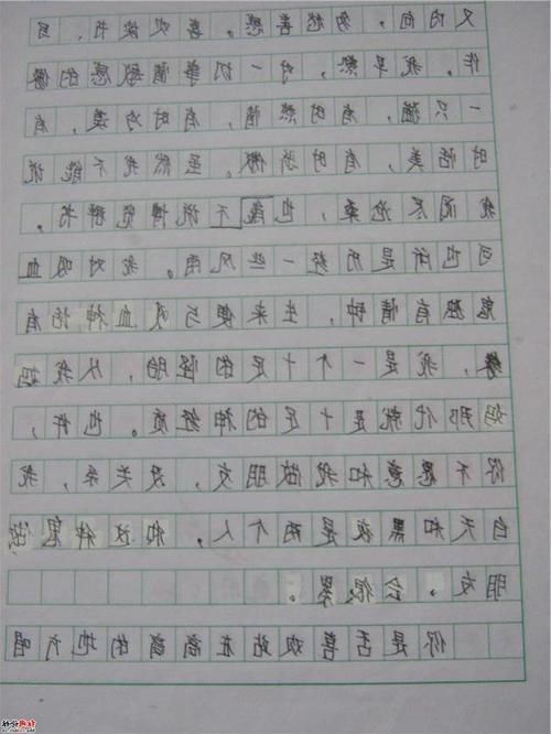 小学作文我的同学