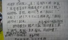 我的双休日作文700字
